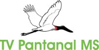 Logo do canal TV Pantanal MS